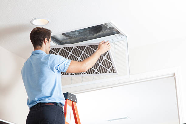 Best HVAC Installation Services  in Newport, NC